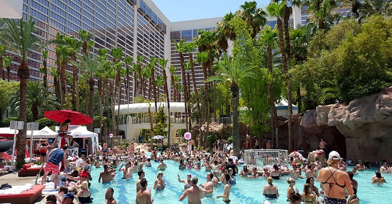 flamingo pool las vegas reviews