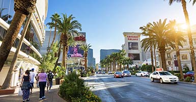 Las Vegas Activity Guide